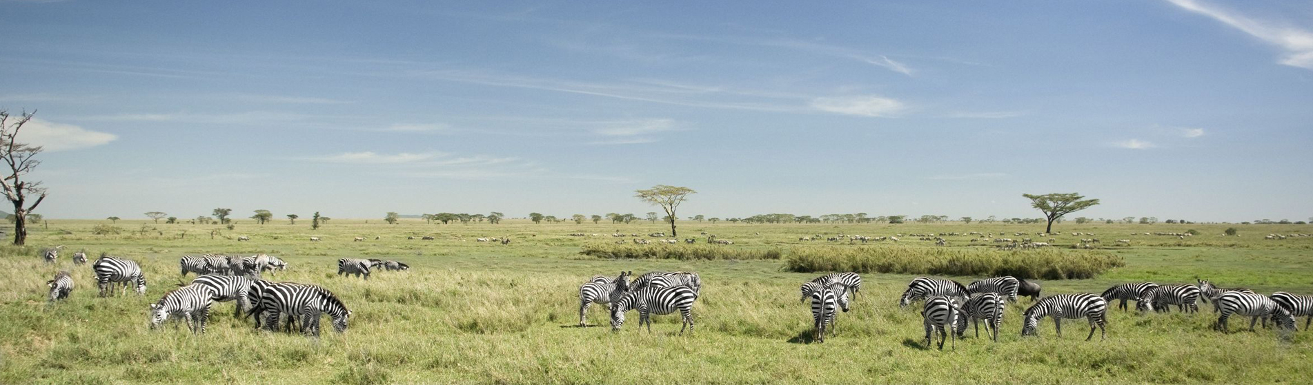 safari-afrika-boeken5