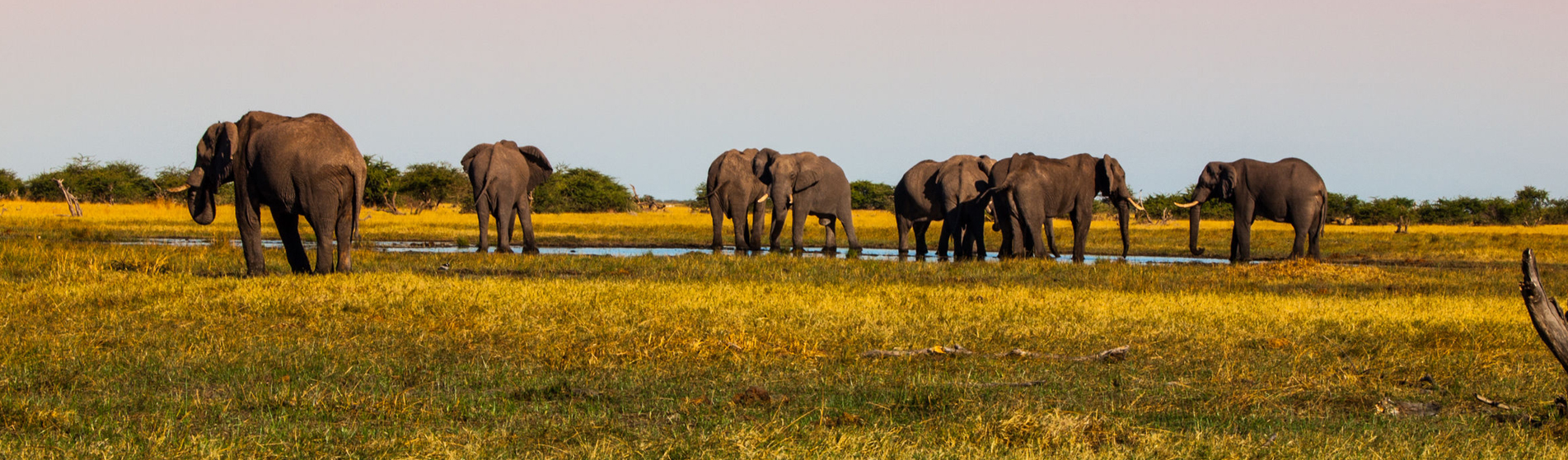 safari-afrika-boeken5