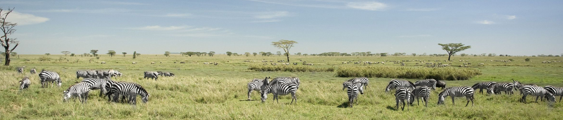safari-reizen-nationale-parken