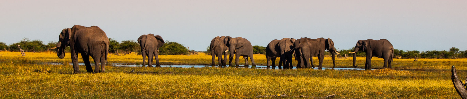 safari-reizen-vakantie-afrika